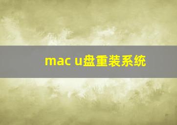 mac u盘重装系统